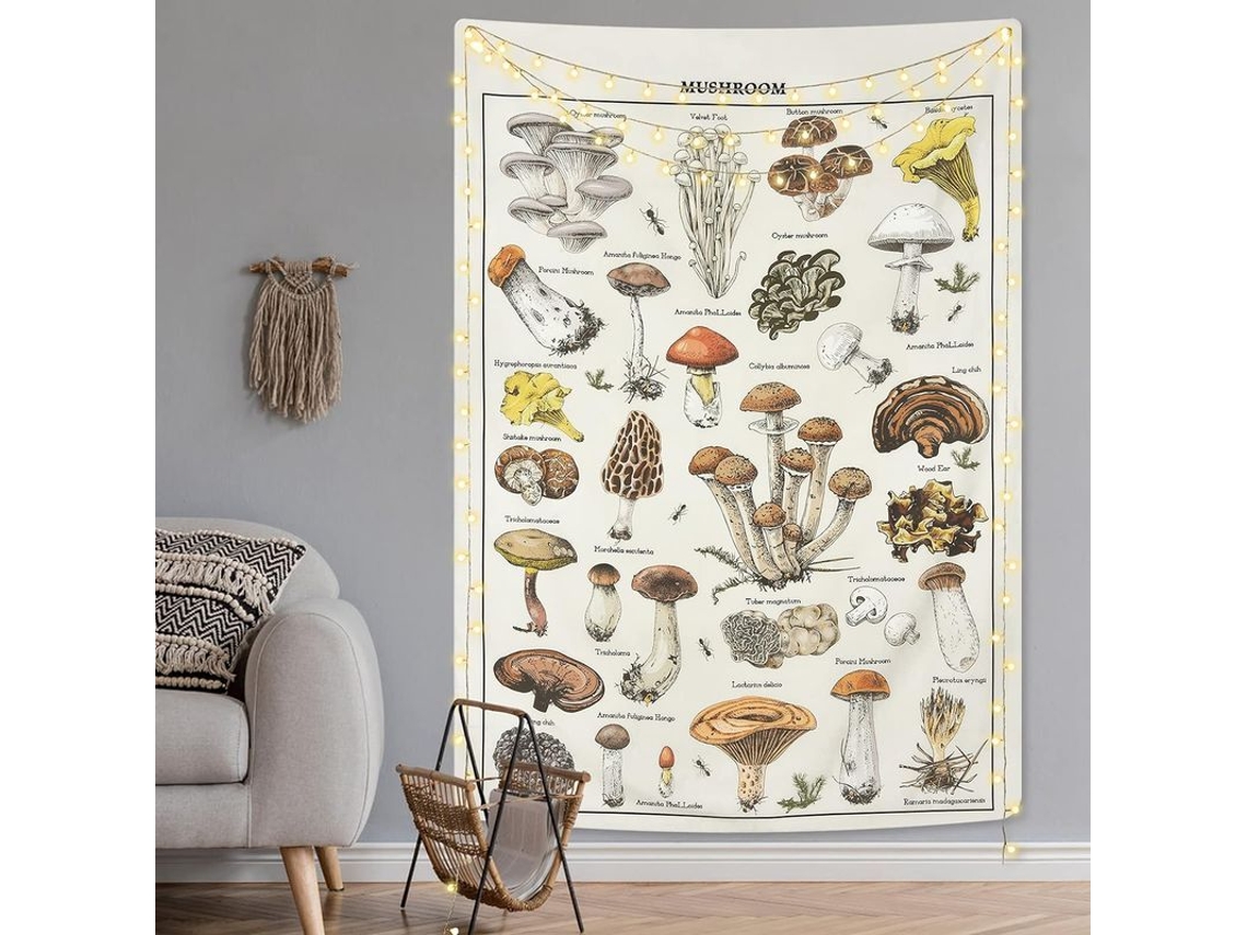 Tapiz De Hongos Vintage Com Tabela De Referência Ilustrativa, Tapiz Fungus De Alta Qualidade