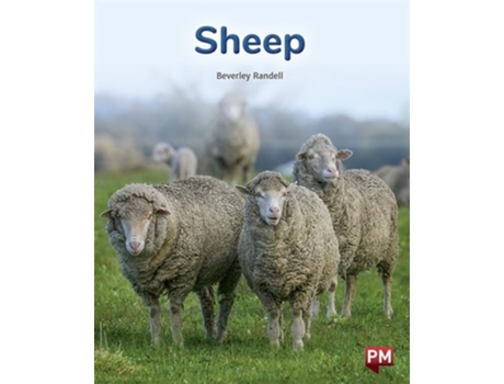 Livro Sheep De Beverley Randell (inglês)