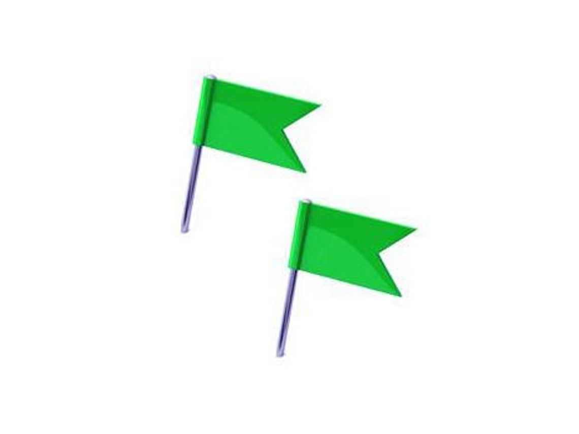 Sinalizadores Bandeiras Verde Cx 20un