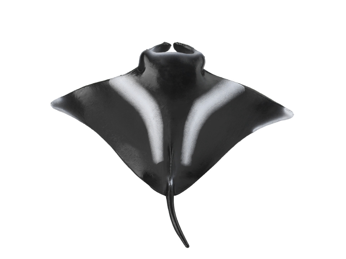 Rebe-figura De Mantarraya Simulada Em Miniatura Modelo De Animal Marino Brinquedo Educativo Decoração Para Casa