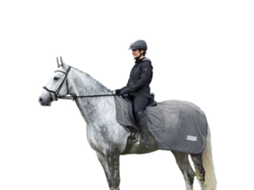 Cobertor Antimoscas Comfort Saddle Cut Cinzento 155 Cmwaldhausen