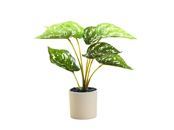 Vaso De Planta Verde Laxiscreed Fascia Para Decoração De Interiores Criativa
