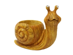 Vaso Caracol Perfurado Suculenta Decoração