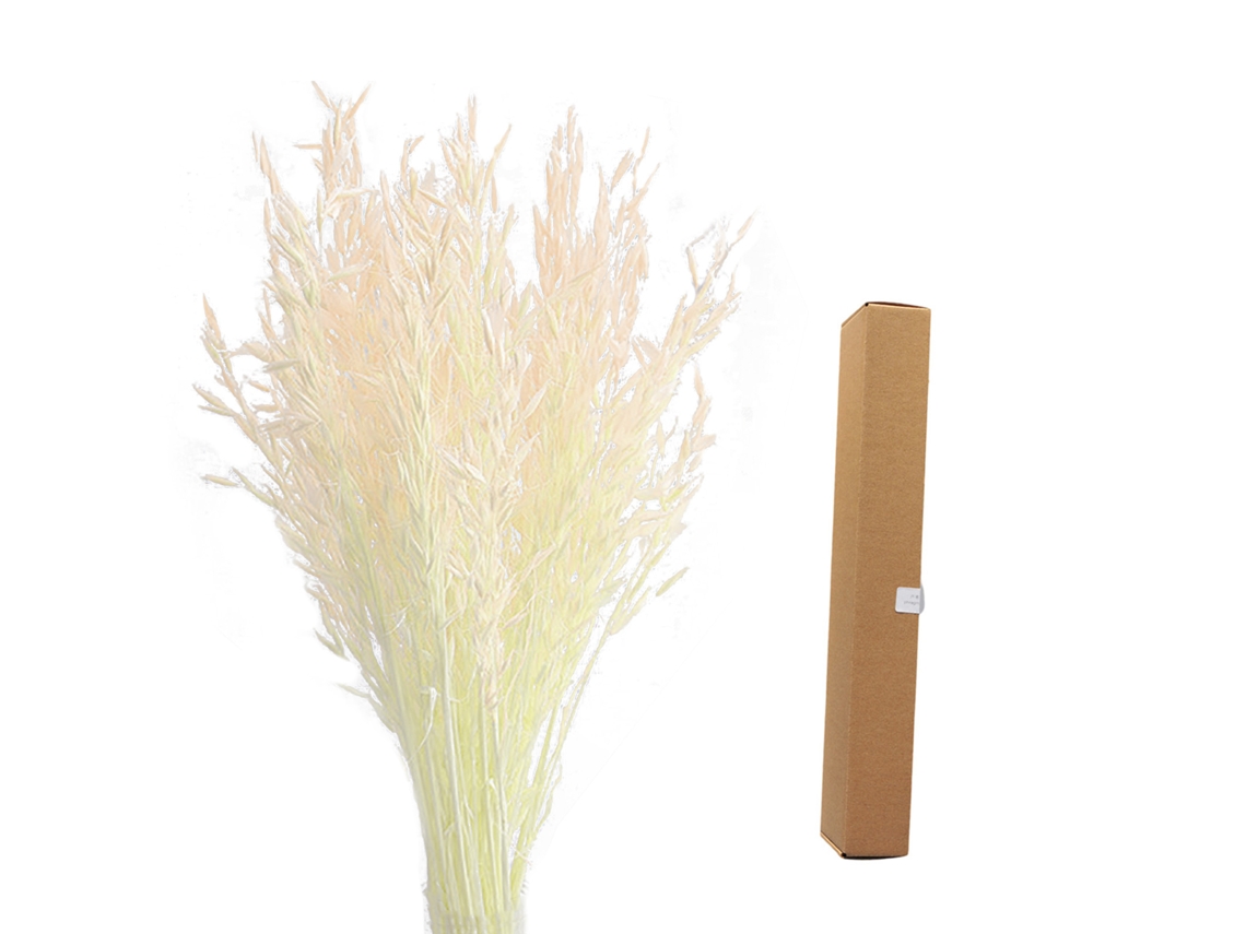 Laxiscreed Painel Decorativo Bege Claro Cortado A 45cm Para Interiores, Embalagem 45x5x7 Cm