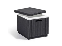 KETER Geladeira de jardim ICE CUBE grafite WxDxH cm 42x42x41
