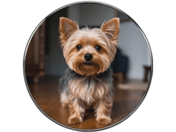 Ímã De Geladeira Fofo Com Um Yorkshire Terrier, Ímã Colorido Para Geladeira, Ímãs De Liga Metálica Para Quadro Branco