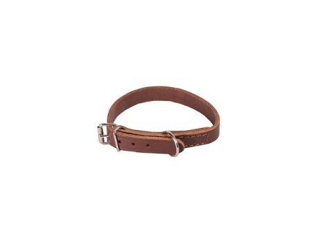 Coleira Para Cães 11x300mm 00001.6 Hersol