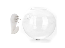 Aquário LAXISCREED de 10x10cm transparente para peixes, ambientes pequenos