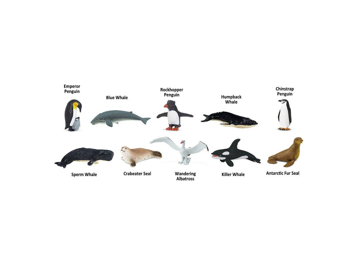 SAFARI Antarctica Toob