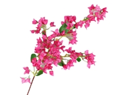 Ramos de Bouganvillea Falsa LAXISCREED 120cm Rosa