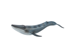 Ats figura de Ballena Azul Miniatura Simulada Colección Juguete Animal Decoración Hogar Ornamento