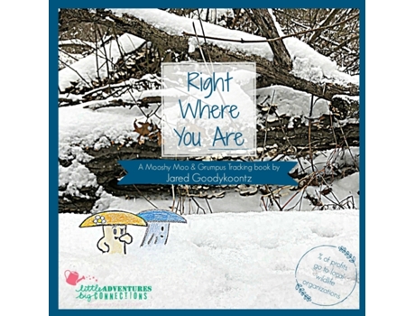 Livro Right Where You Are (2) (Little Adventures Big Connections) Jared Goodykoontz (Inglês)