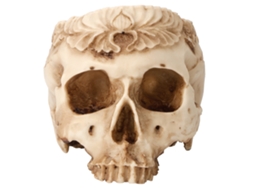 Vasos De Crescimento Calavera Da Laxiscreed Para Plantas Robustas E Duradouras