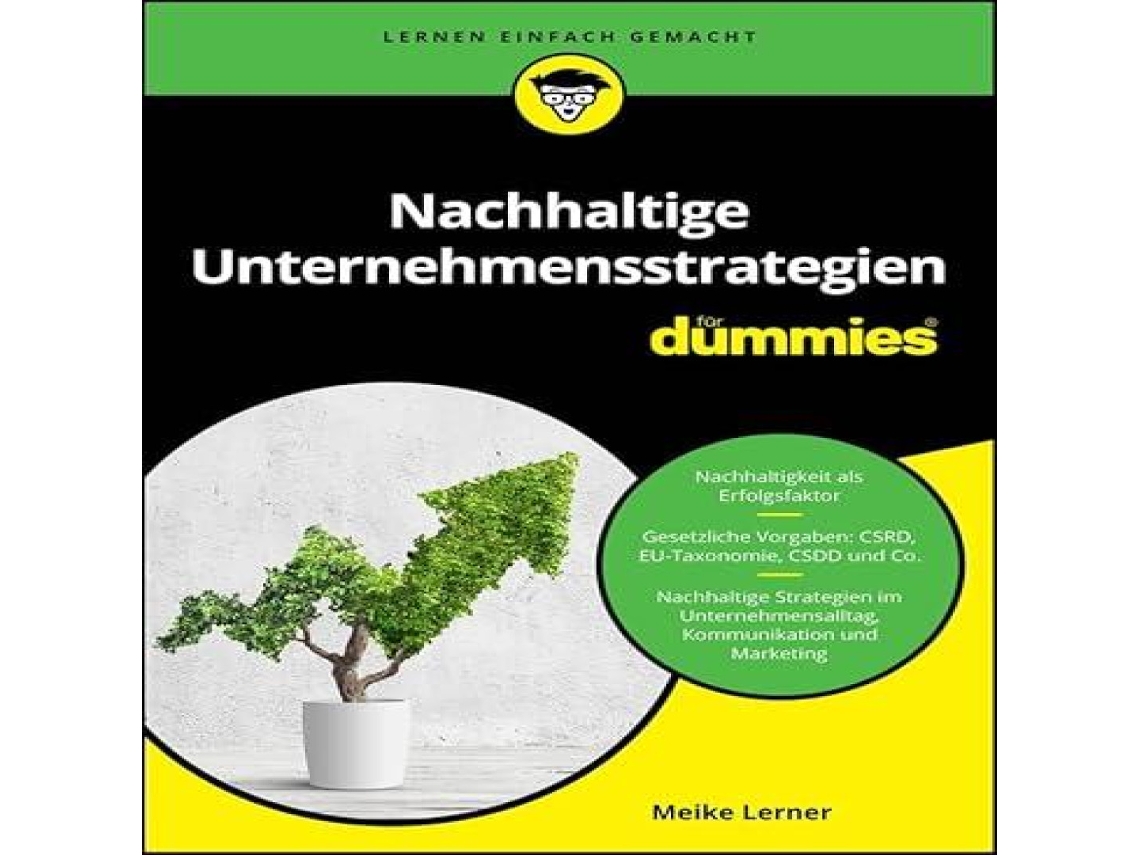 Livro Nachhaltige Unternehmensstrategien für Dummies de Meike Lerner (Alemão)