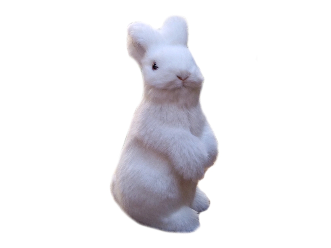 Coelho de peluche para crianças, brinquedo animal, embalagem refletida para envio seguro LAXISCREED