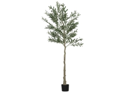 Oliveira artificial grande de 180 cm em vidro com cimento e musgo para sala de estar, quarto e mesa de trabalho BTFORUS