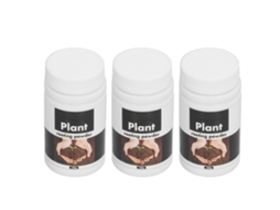 Pó de Enraizamento LAXISCREED 3,5oz 3un Jardim Casa