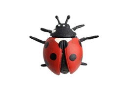 Figura De Insetos Simulados De Plástico Para Crianças Brinquedo Educativo Modelo Animal (5)