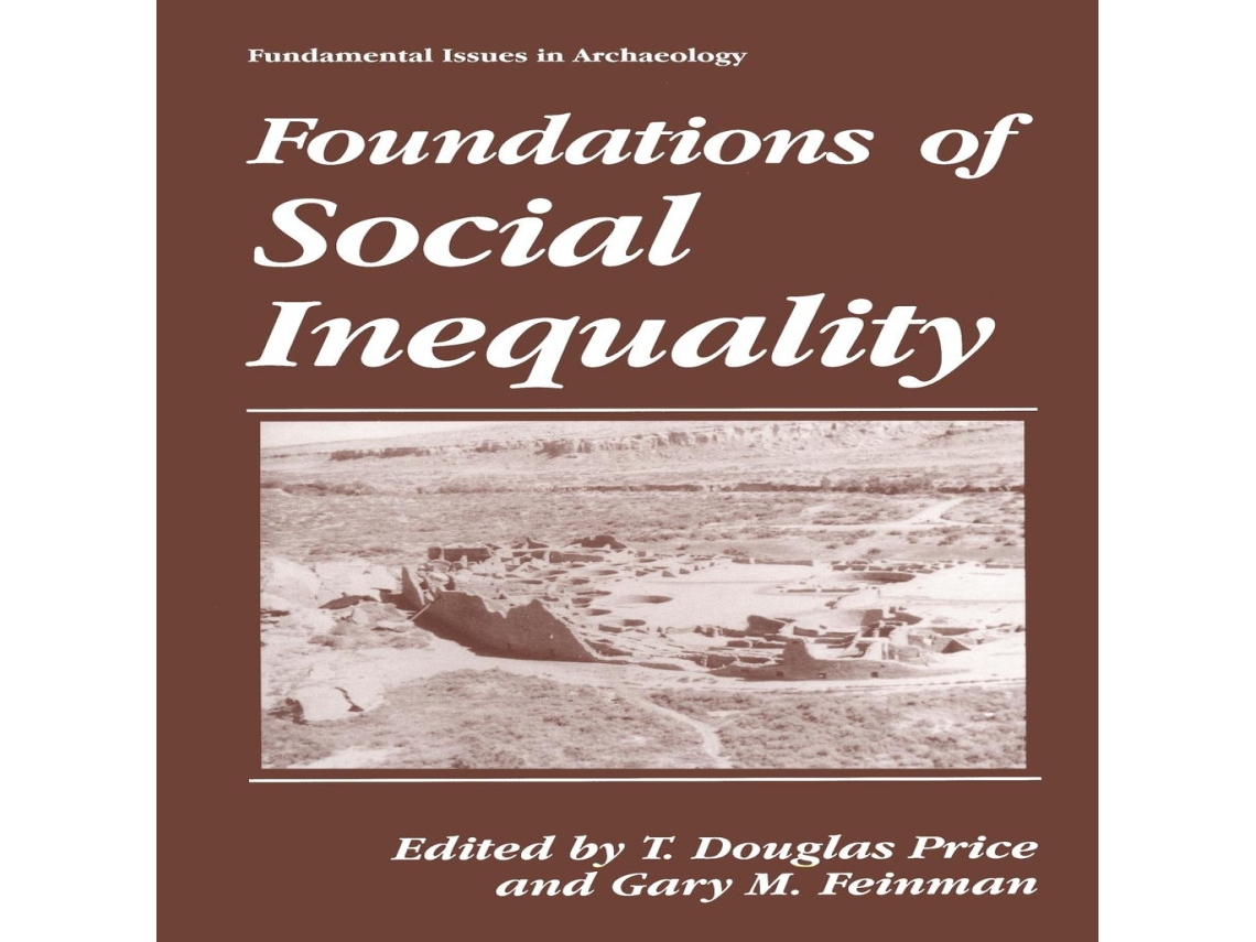 Livro Foundations of Social Inequality de Springer Nature BV (Inglês)