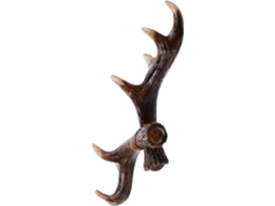 Gancho De Parede Decorativo Em Forma Chifre, Cabide Resina Formato Chi