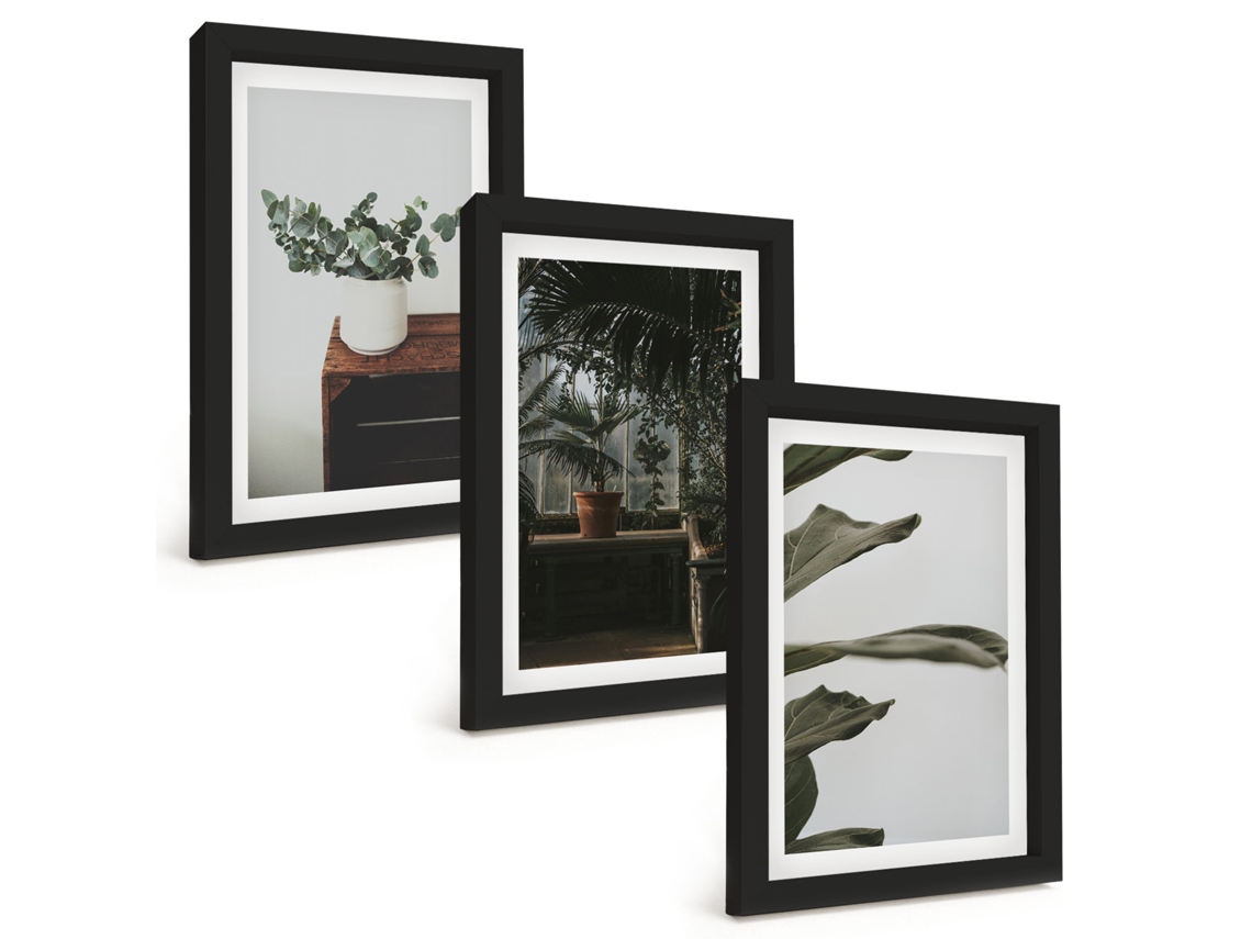 Composição De Quadros Plantas Rústicas Em Vasos Espelharte (3 Peças 20x30 Cm)
