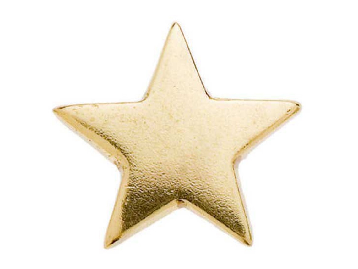 Ornamento Estrela Dourada Douradohispano Hipica