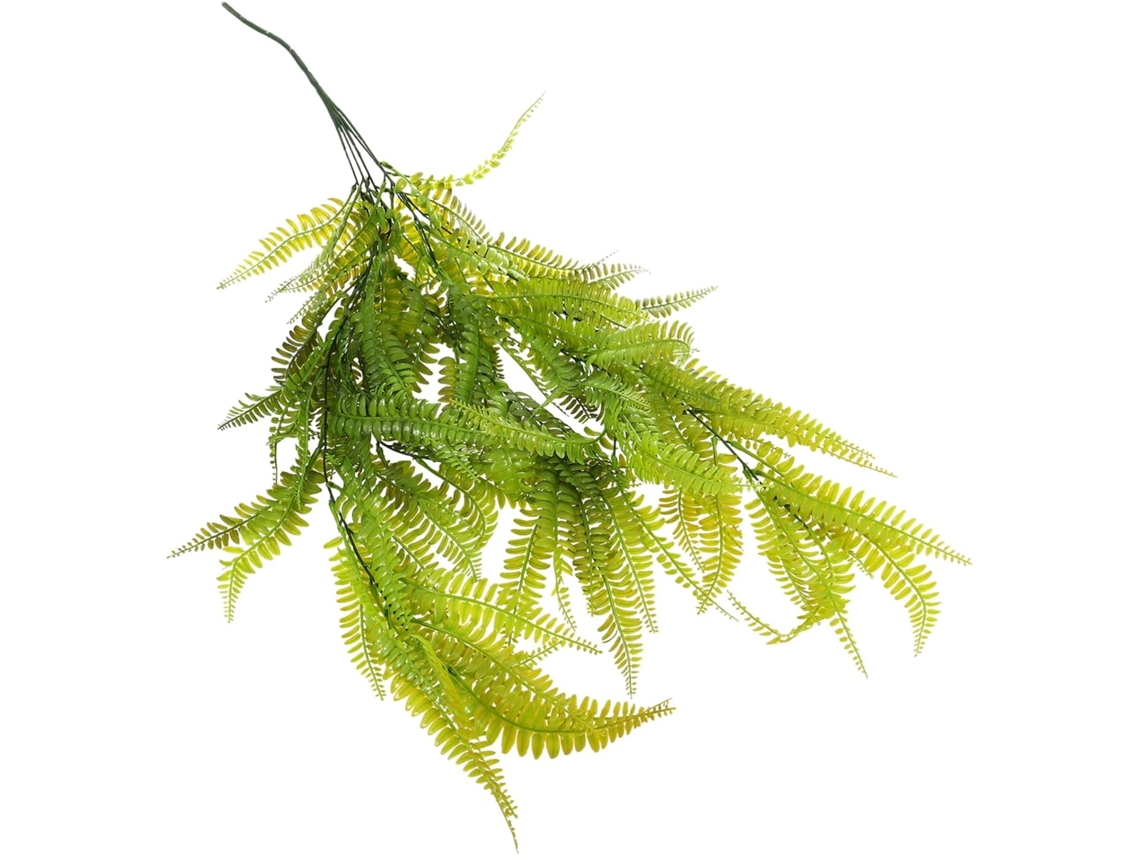 Planta Suspensa Para Parede, Samambaia Fênix, Ornamento Decorativo Para Sala De Estar Ou Banheiro, C Gokoco