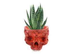 Laxiscreed Abóbora Bruxa De Halloween Com 12 Leds Variáveis Para Decoração De Casa E Exterior