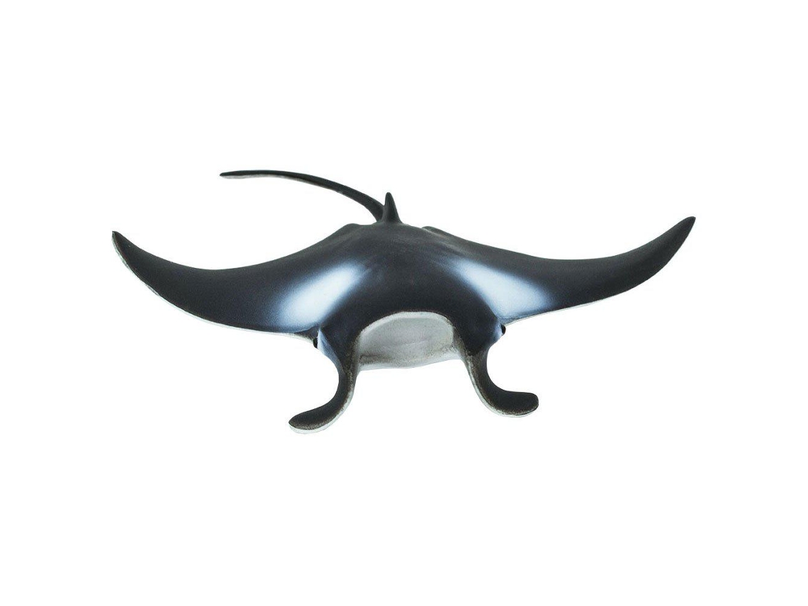SAFARI Manta Ray