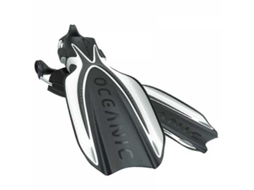 Oceanic Manta Ray