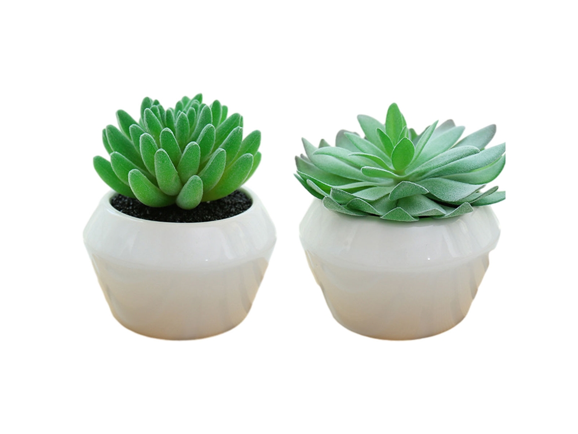 2Pcs Planta Suculenta em Vaso Criativa Pequenos Ornamentos NEVEANCE