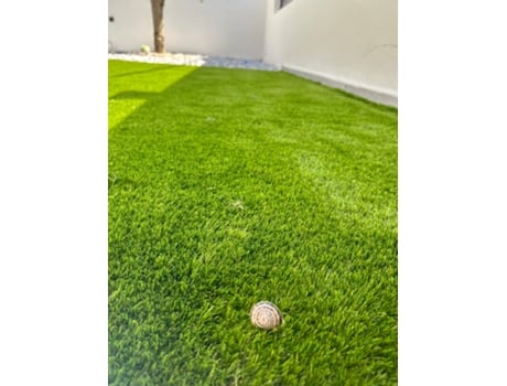 Rolo de Relva Artificial 35Mm Rolo 2 X 20 Mts com 40M2 Trio35 ZBM4FUTURE