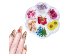 1 Caja De Flores Secas Com 6 Compartimentos Decoração De Unhas Arte De Unhas Diy Flores Falsas Para Manicure 05