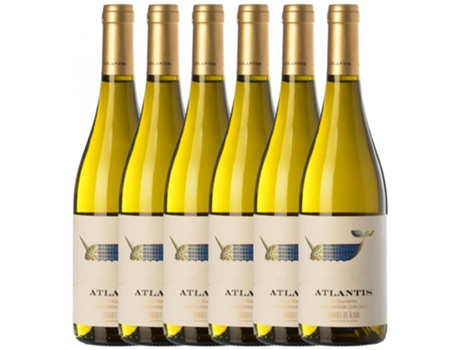 Vinho CASTILLO DE MAETIERRA Castillo De Maetierra Atlantis Txakolí De Álava Hondarribi Zuri Arabako Txakolina (0.75 L - 6 unidades)