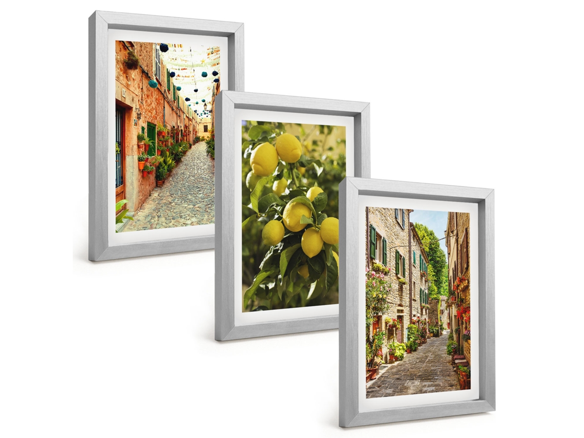 Composição De Quadros Na Parederuas Com Flores E Limão Moldura Prateada Quadros Para A Sala De Estar Espelharte (3 Peças 20x30 Cm)
