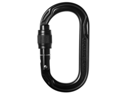 Mosquetão Oval Power 2500 Screw Prateadoedelrid