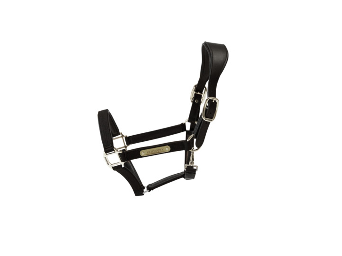 Cabresto anatómico para cavalos nylon Kentucky