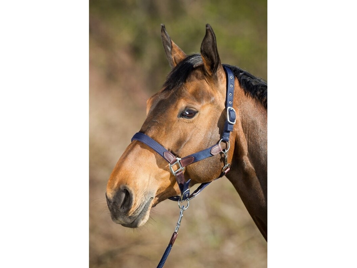 Cabresto com Corda Nylon Neoprene Smart HFI