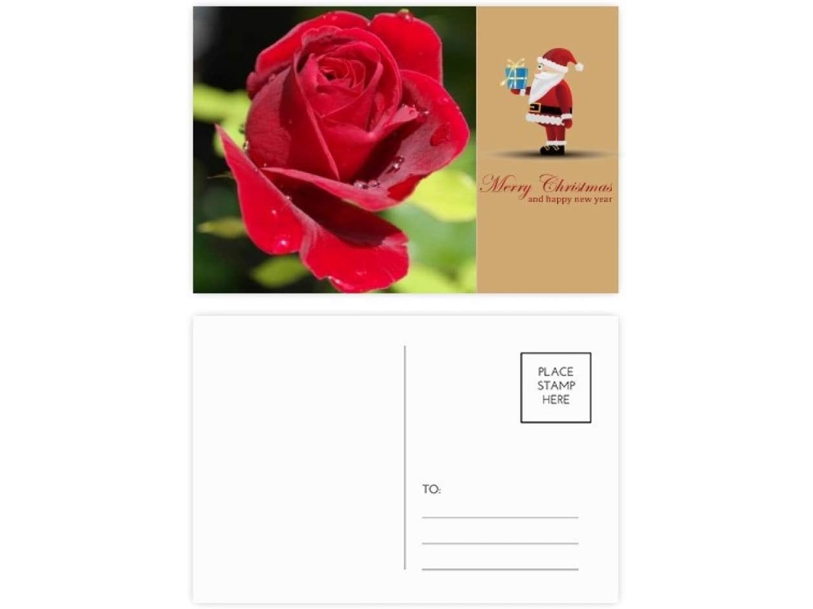 Conjunto de 20 Cartões postais com Rosas Vermelhas Escuras 14,6 X 9,8 Cm