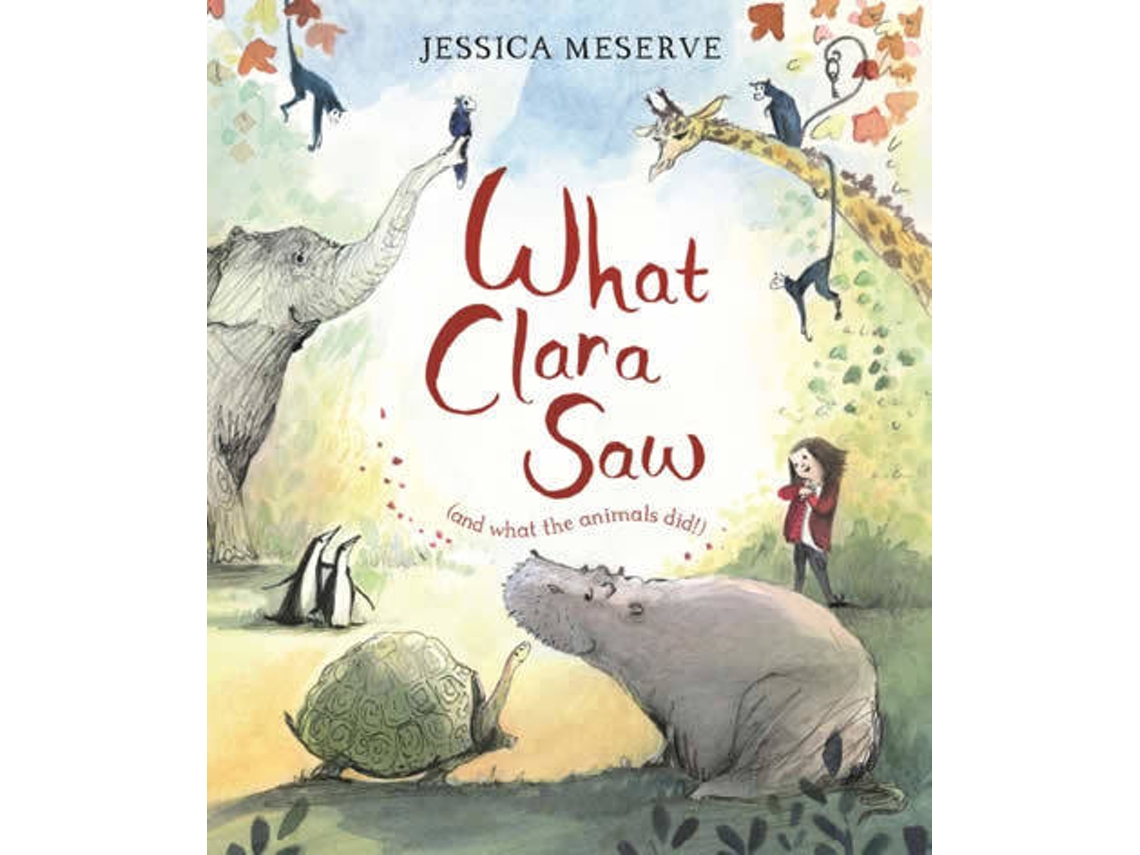 Livro What Clara Saw de Jessica Meserve (Inglês)