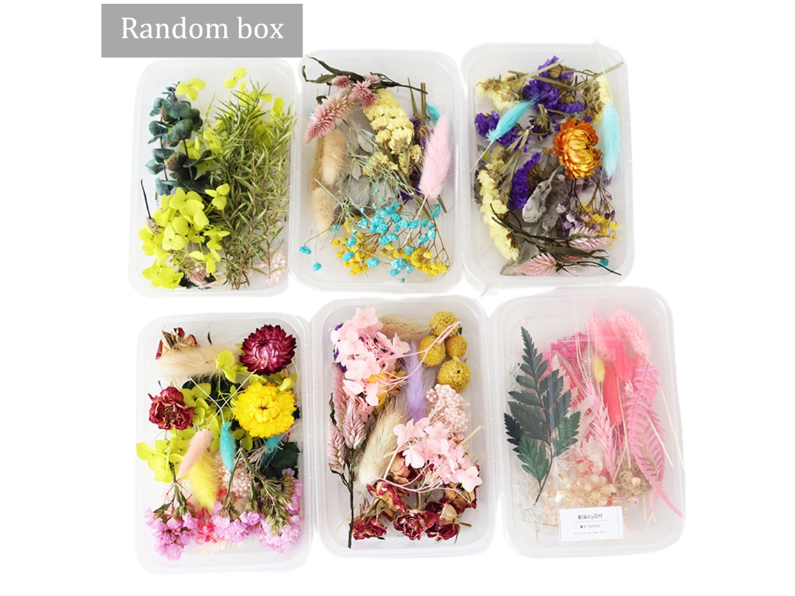 Pacote de materiais com flores secas para DIY, caixa aleatória de 30g LAXISCREED