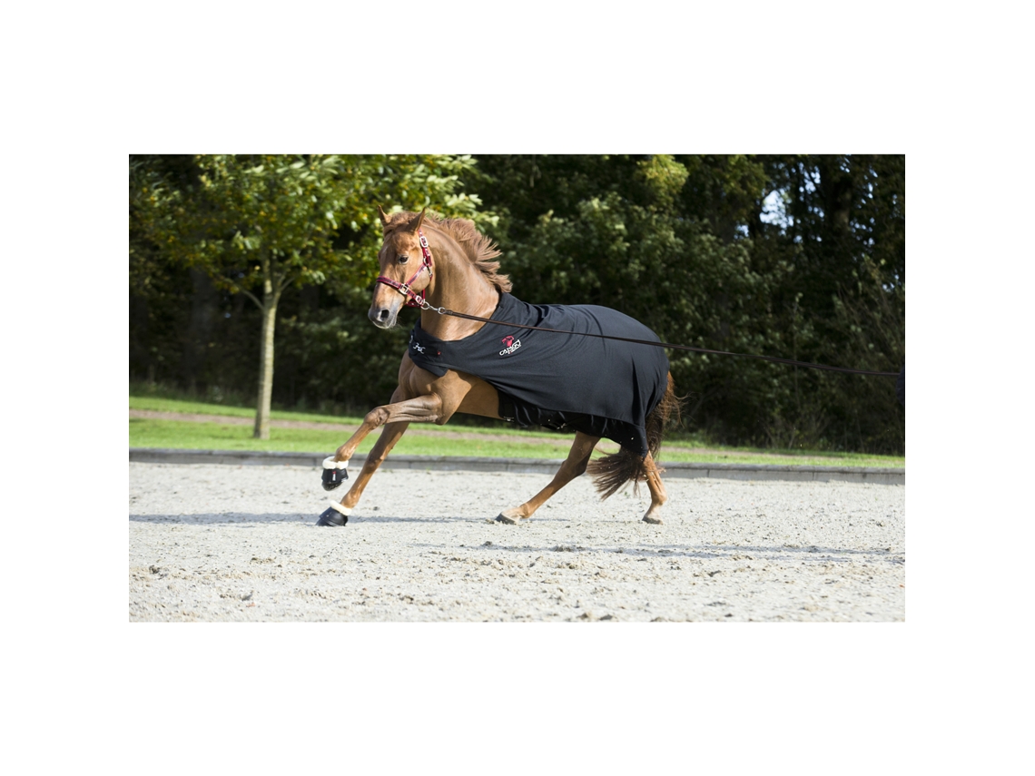 Sinos de Cavalo CATAGO Merino