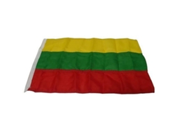 Bandeira Litunia Colorido 20 X 30 Cmgoldenship