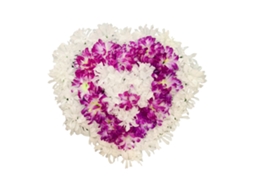 Arranjo de Memória Coração com Crisântemo e Lírio Roxo e Branco LAXISCREED