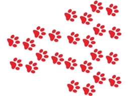 Adesivos De Pegadas De Gato, Decorações 3d, Duráveis E Aderentes, Pacote Com 24 Unidades.