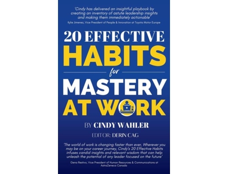 Livro 20 Effective Habits For Mastery At Work De Cindy Wahler (inglês)
