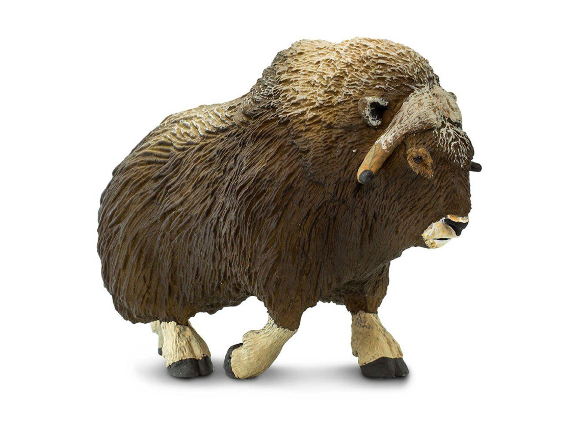 SAFARI Muskox