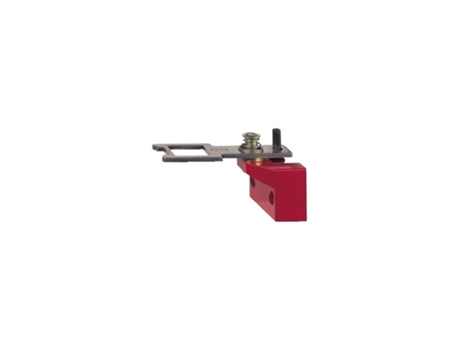 Pestillo P/xcs A C E Oscilante Telemecanic Sensors