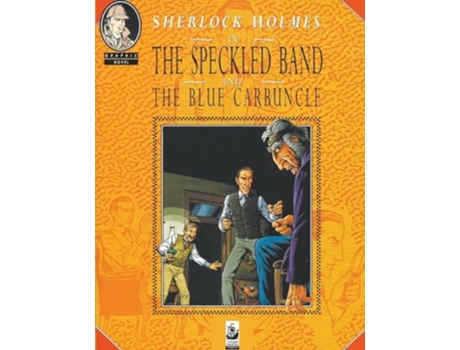 Livro Sherlock Holmes de Quinn e Tim (Inglês)
