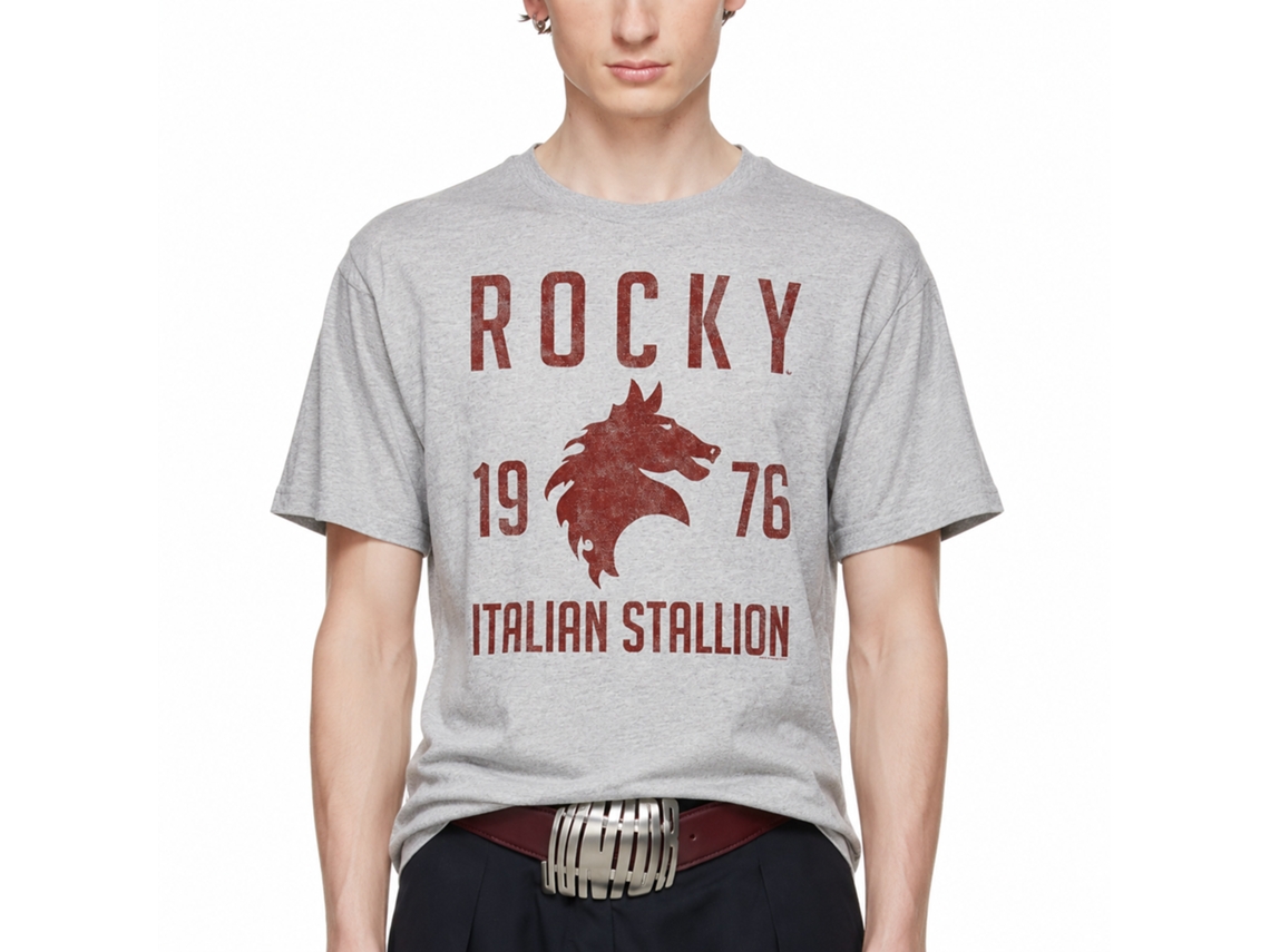 Rockinstone Rocky Movie Vintage 1976 Heather Gray Adult T-shirt Size:m